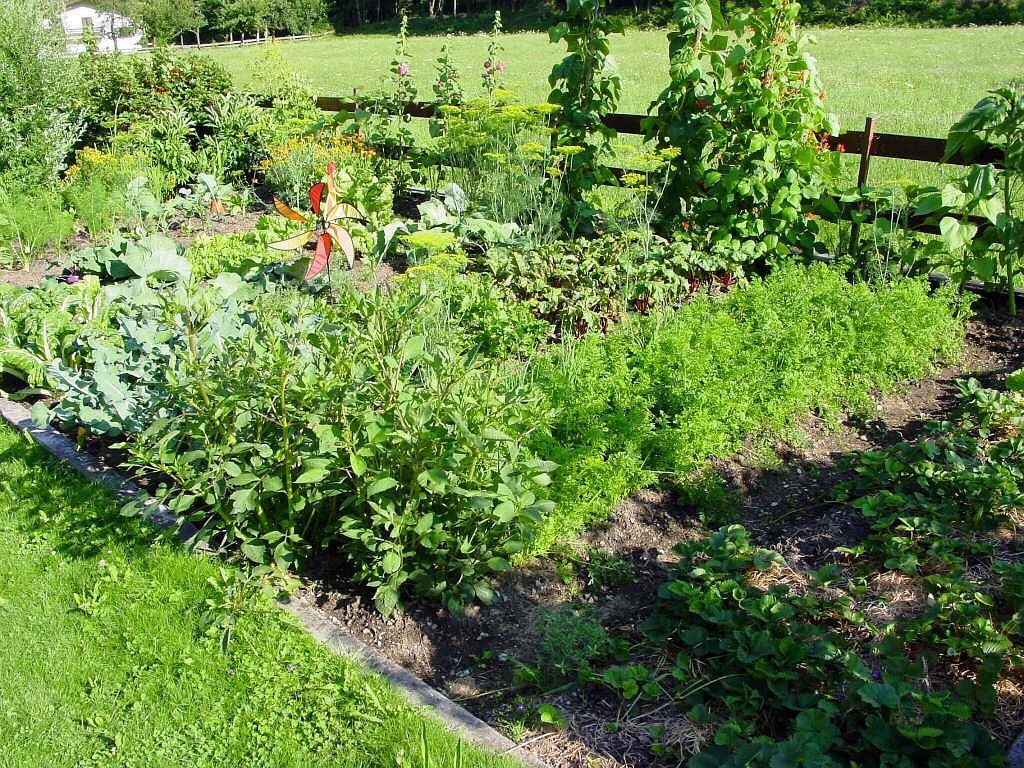 Jak skutecznie dbać o uprawy w swoim ogrodzie?